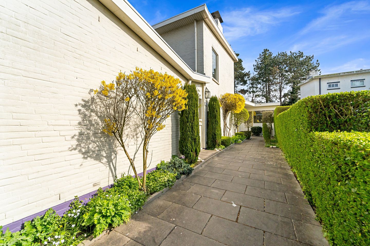 Foto 5 van Loevesteinlaan 218