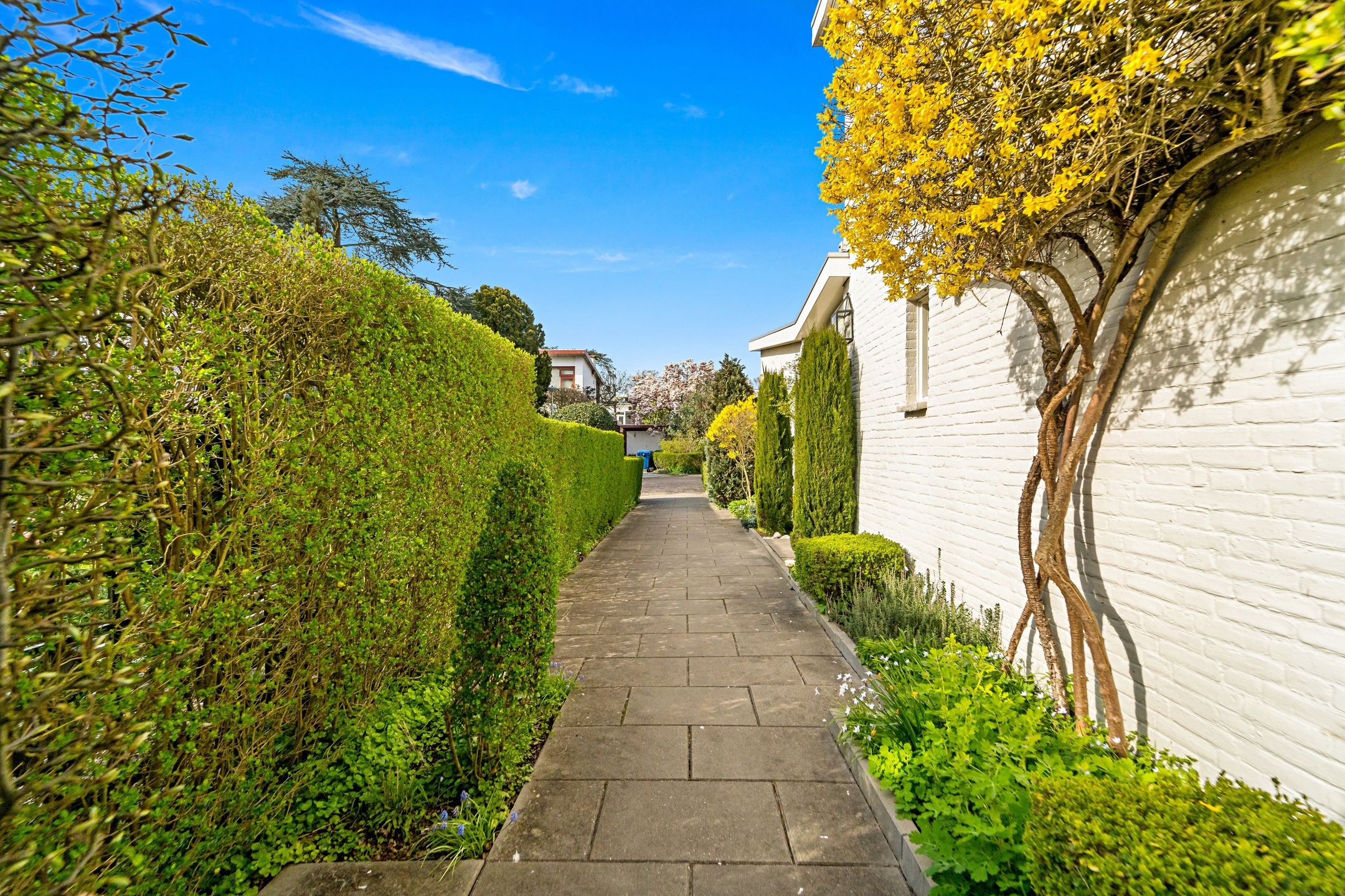 Foto 6 van Loevesteinlaan 218