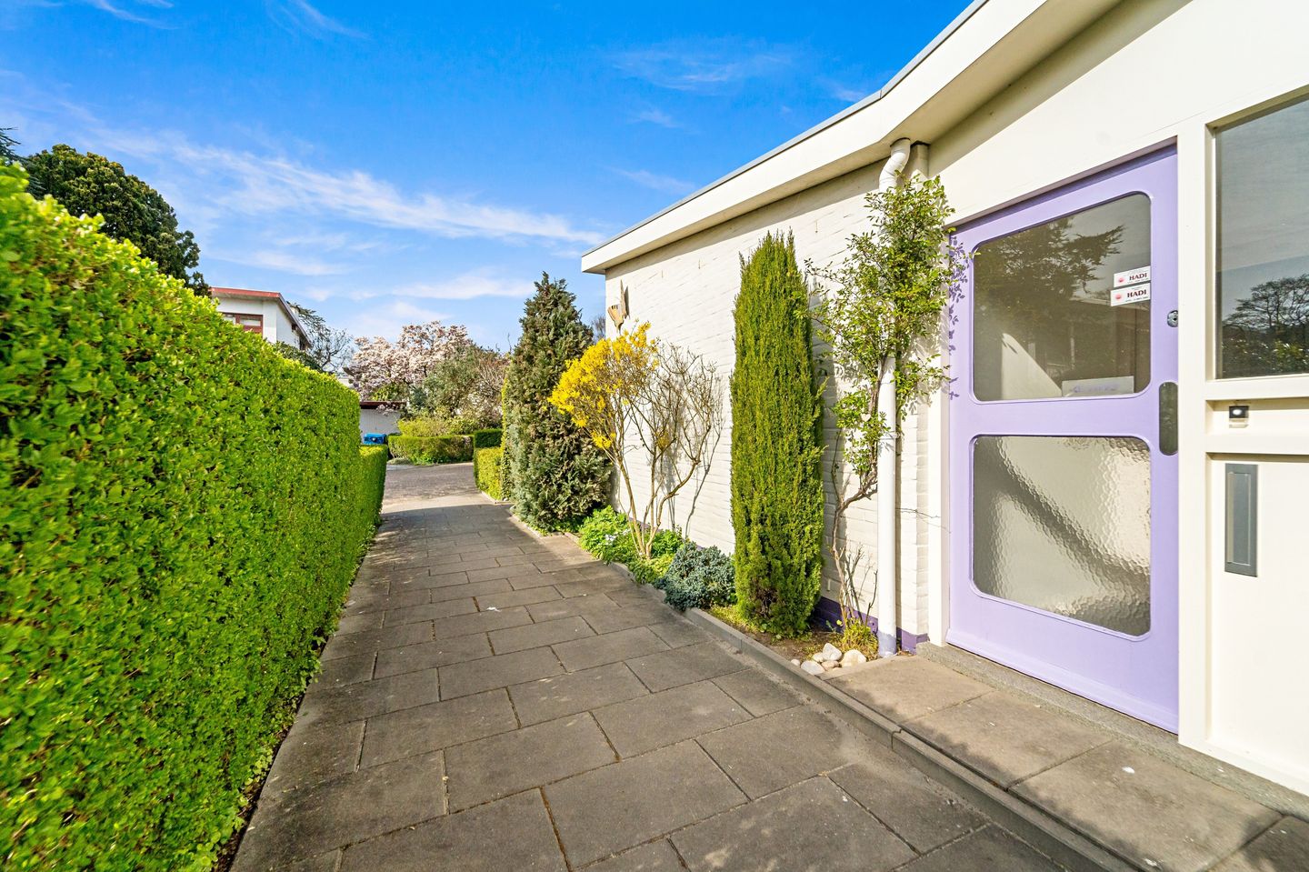 Foto 44 van Loevesteinlaan 218