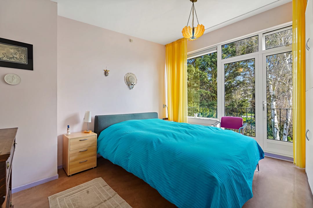 Foto 28 van Loevesteinlaan 218