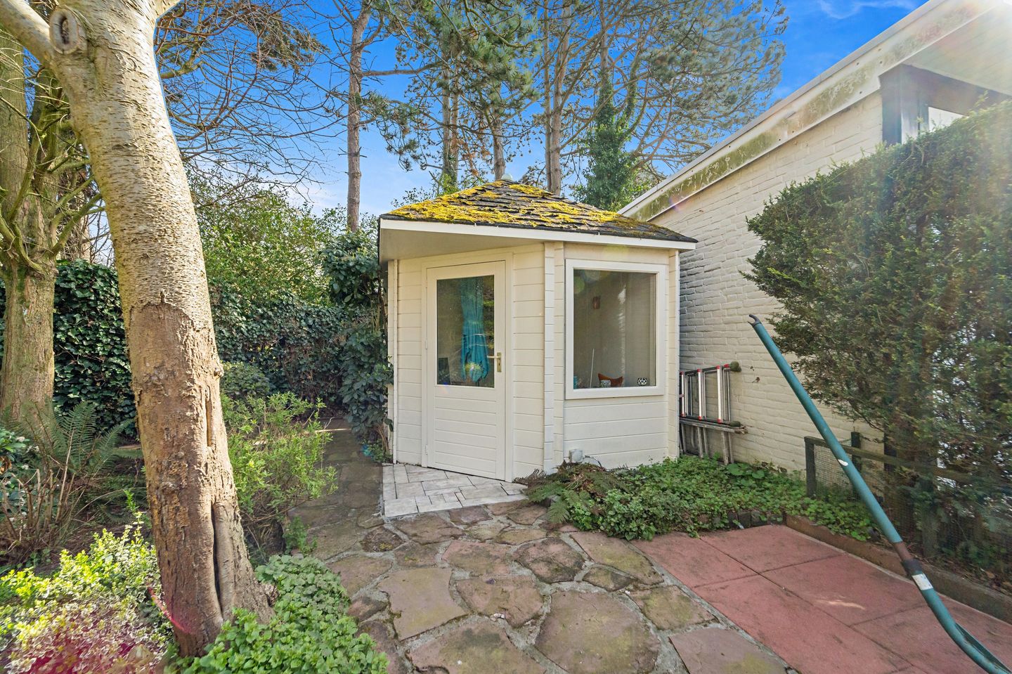 Foto 64 van Loevesteinlaan 218