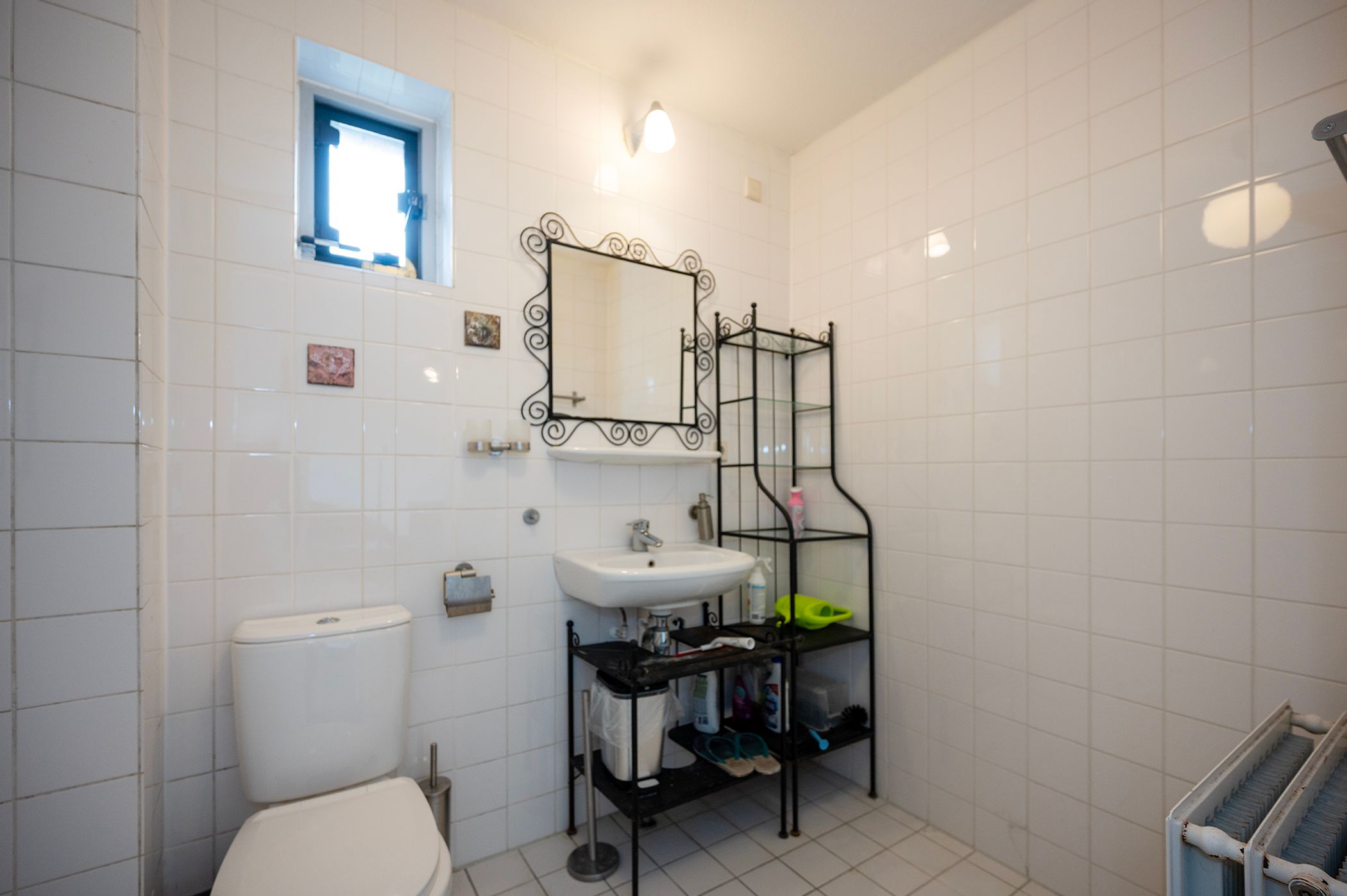 Foto 12 van Oosterschelde 109