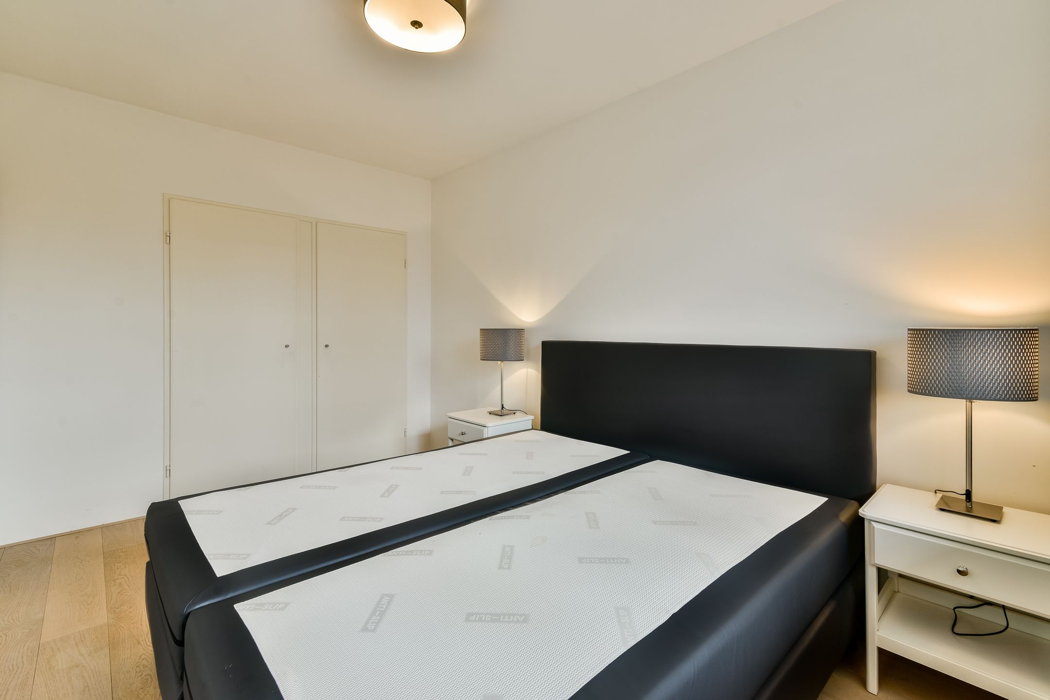 Foto 12 van Bolestein 562