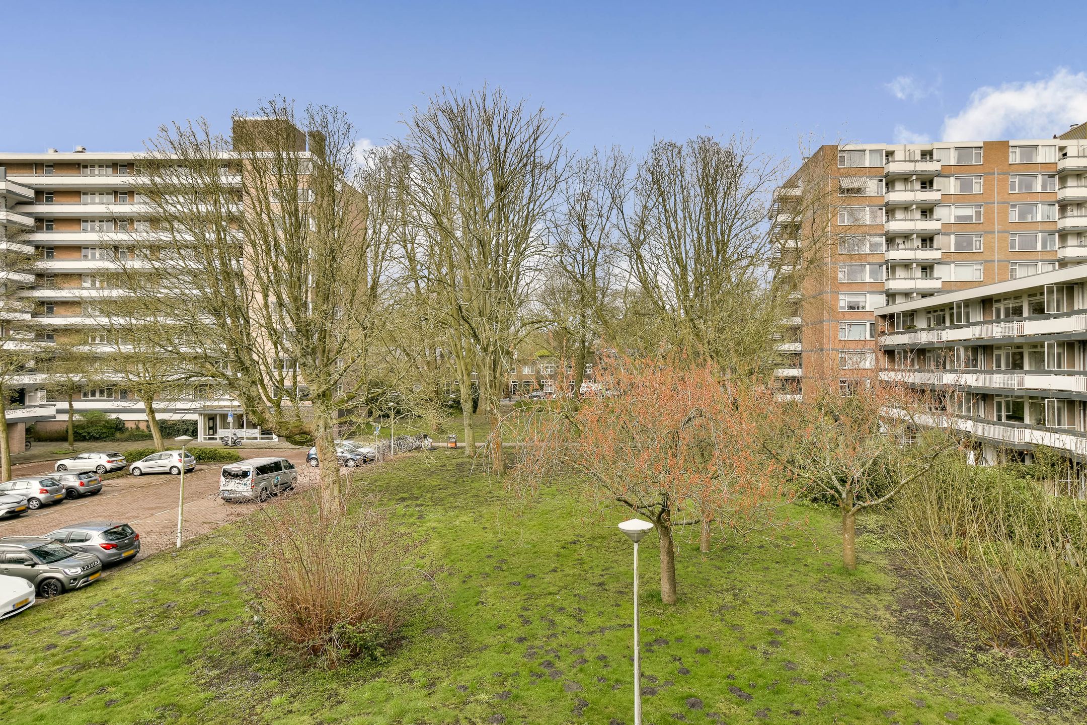 Foto 21 van Bolestein 562