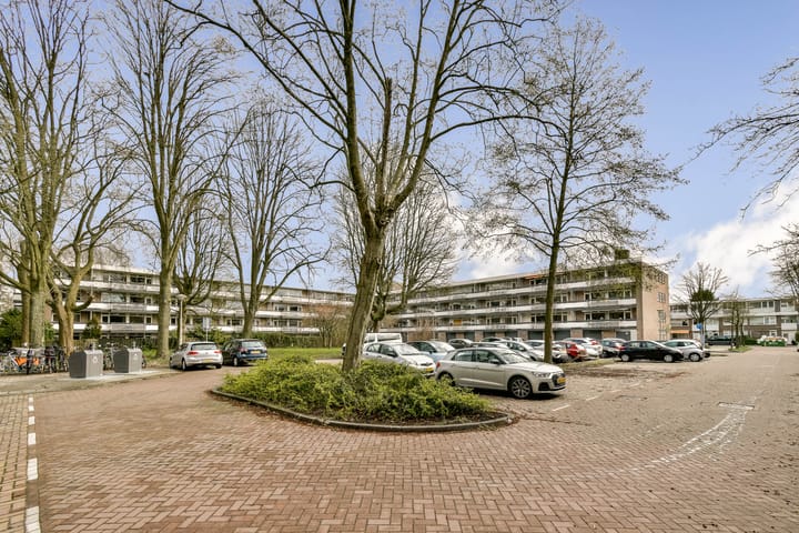 Photo 2 of Bolestein 562