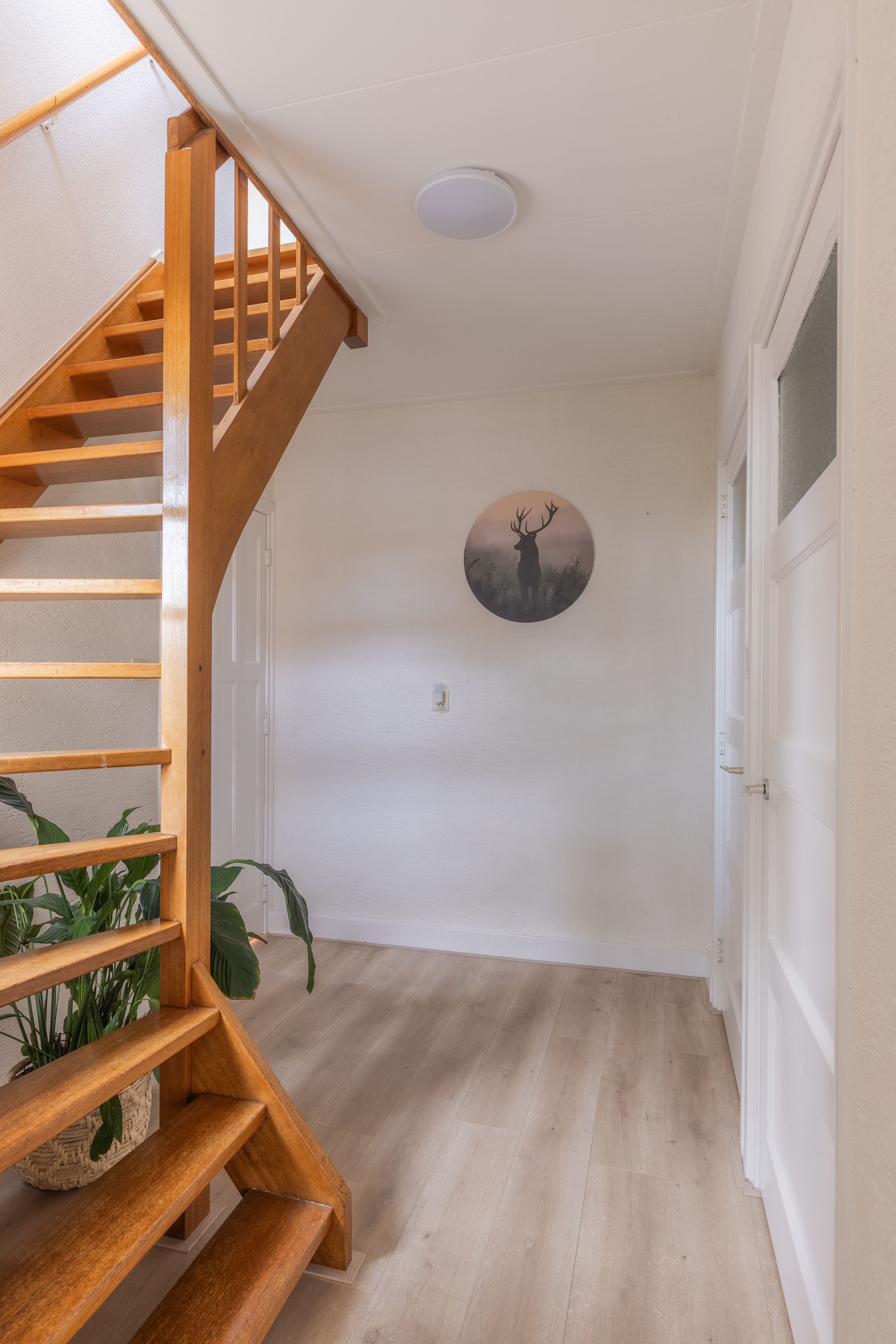 Photo 21 of Steggerdaweg 74