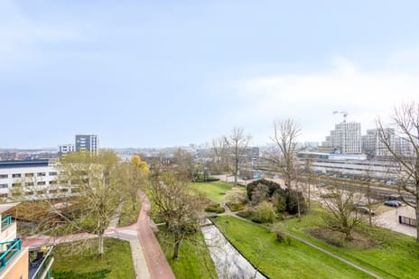 Lindestate 62 secondary image