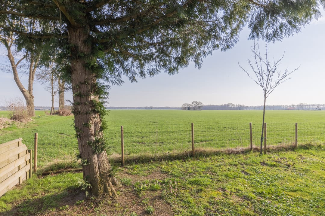 Photo 2 of Steggerdaweg 74