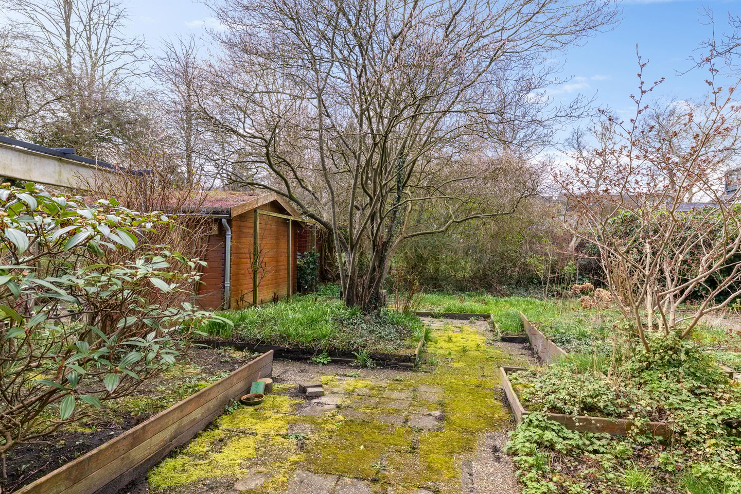 Foto 19 van Sweelincklaan 41