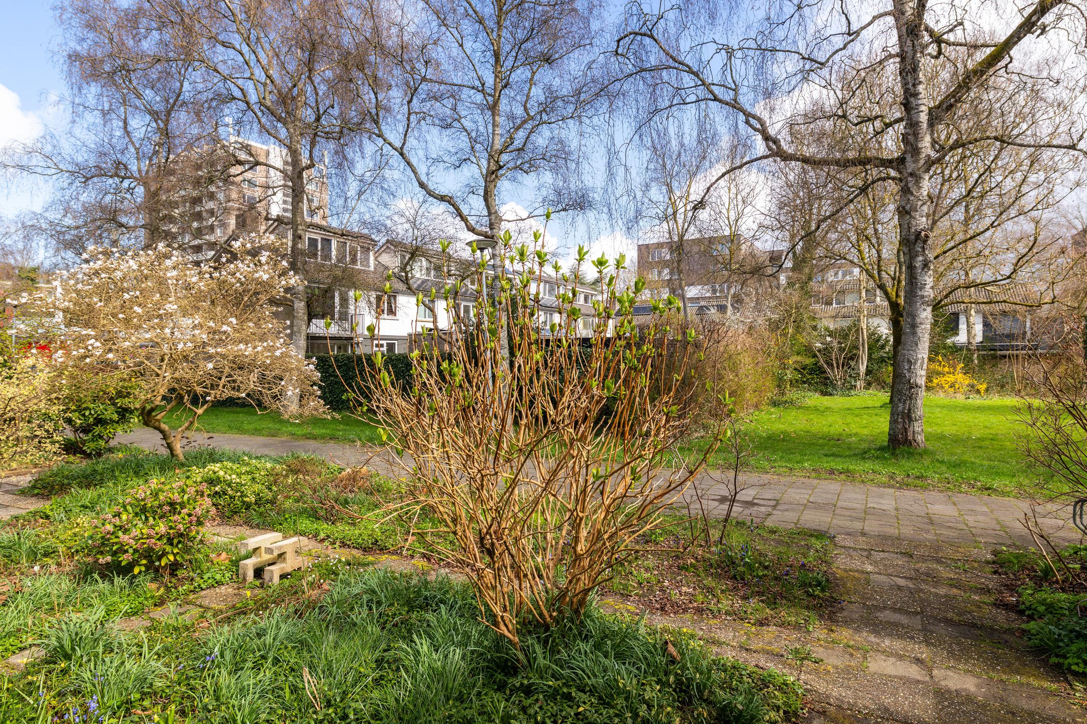 Foto 30 van Sweelincklaan 41