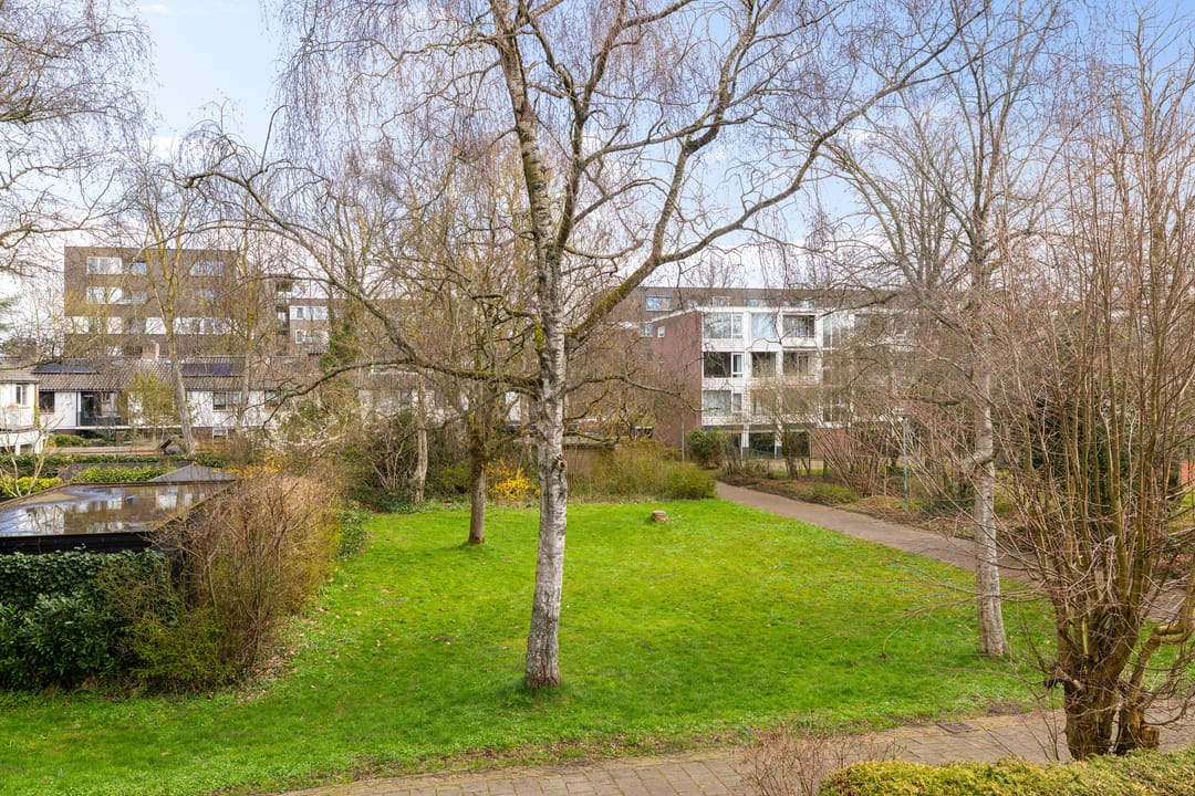 Foto 31 van Sweelincklaan 41