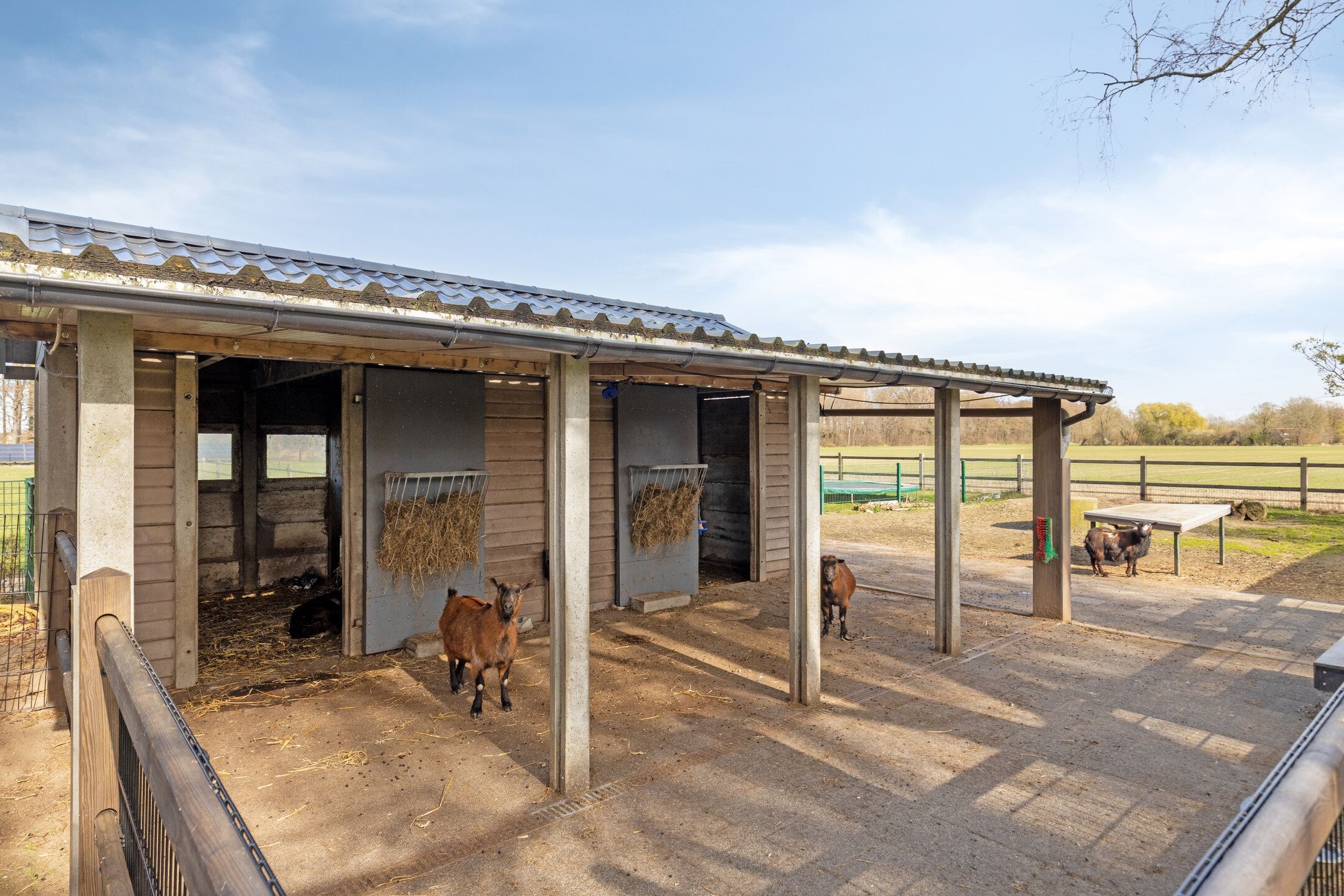 Foto 42 van Koningsweg 10-A