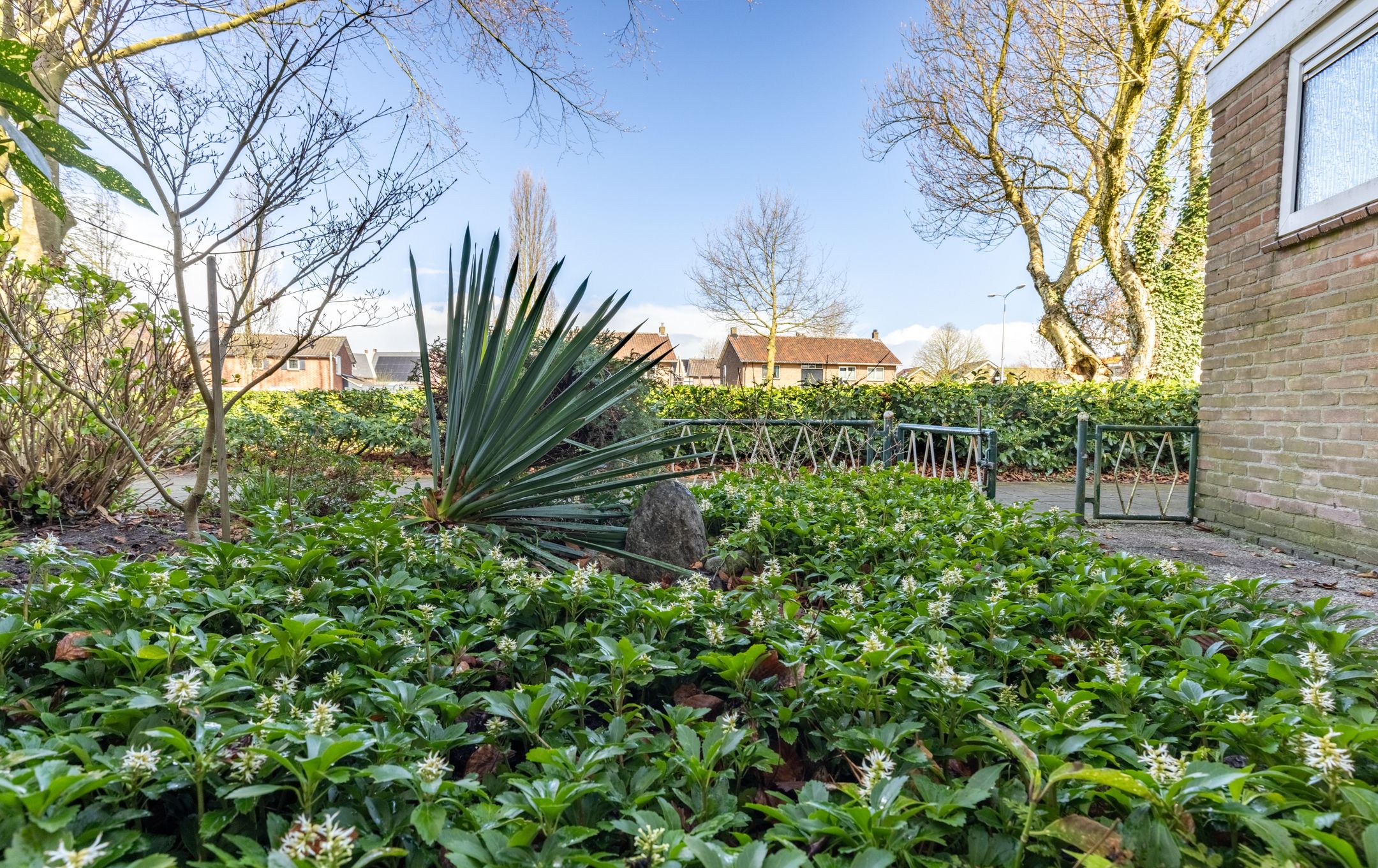 Photo 30 of Titus Brandsmastraat 99