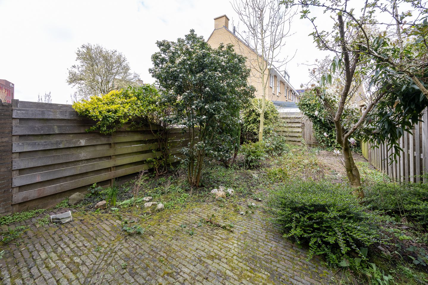 Photo 19 of Essenlaan 29