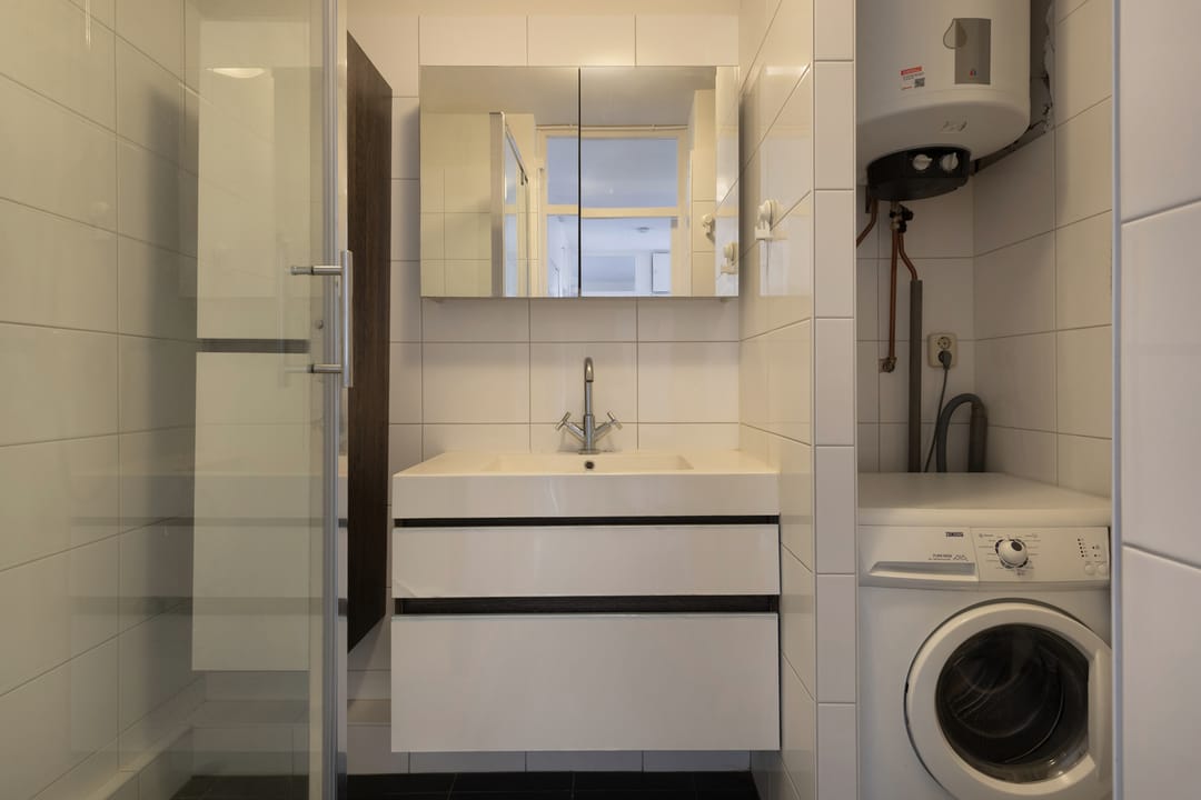 Foto 16 van Zwedenburg 166