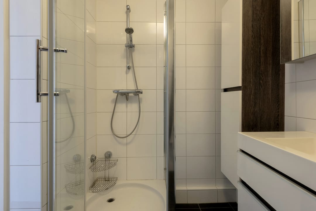 Foto 17 van Zwedenburg 166