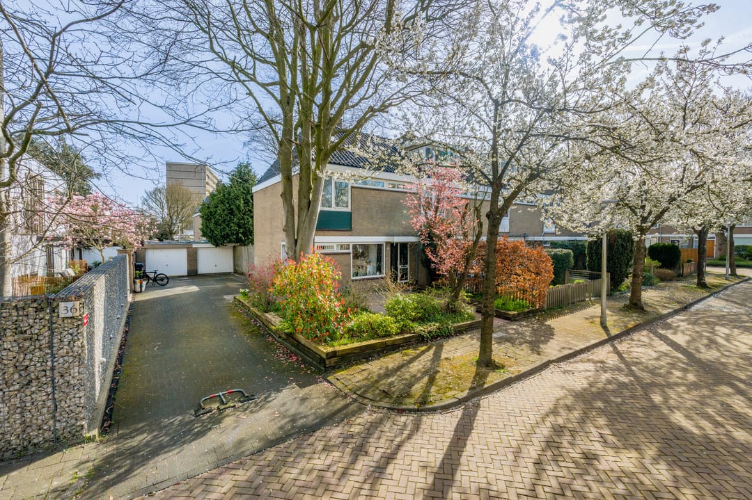 Photo 28 of Top Naefflaan 34