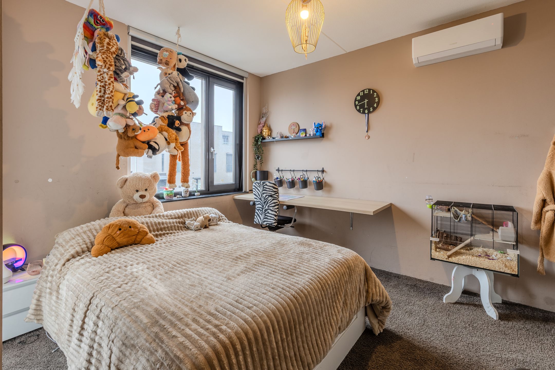 Foto 21 van Pinksterbloem 20