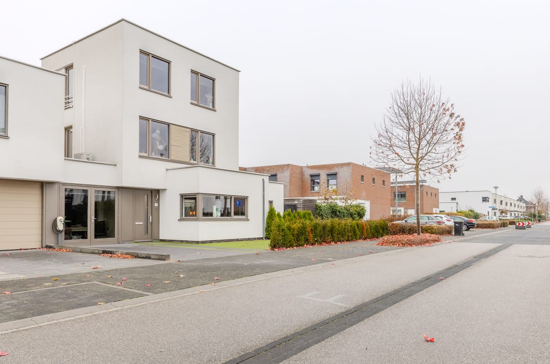 Foto 31 van Pinksterbloem 20