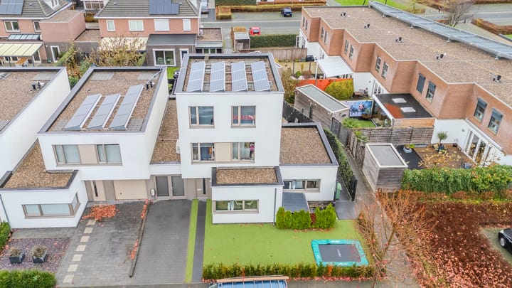 Foto 2 van Pinksterbloem 20