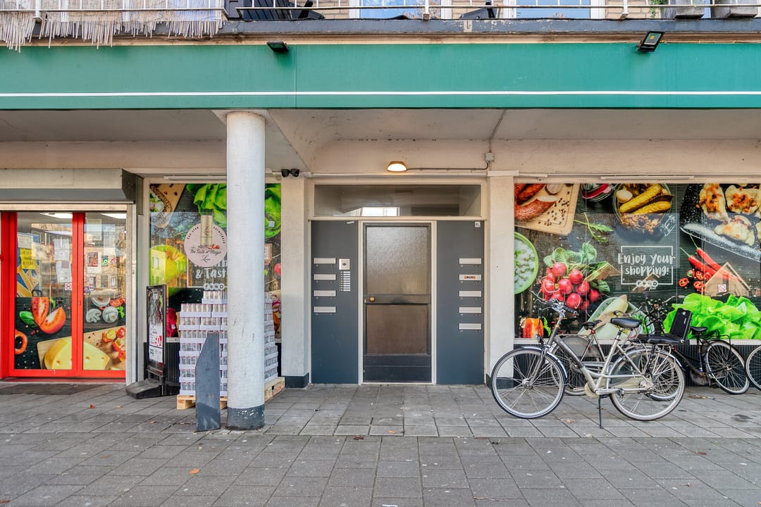 Foto 7 van Professor Regoutstraat 9