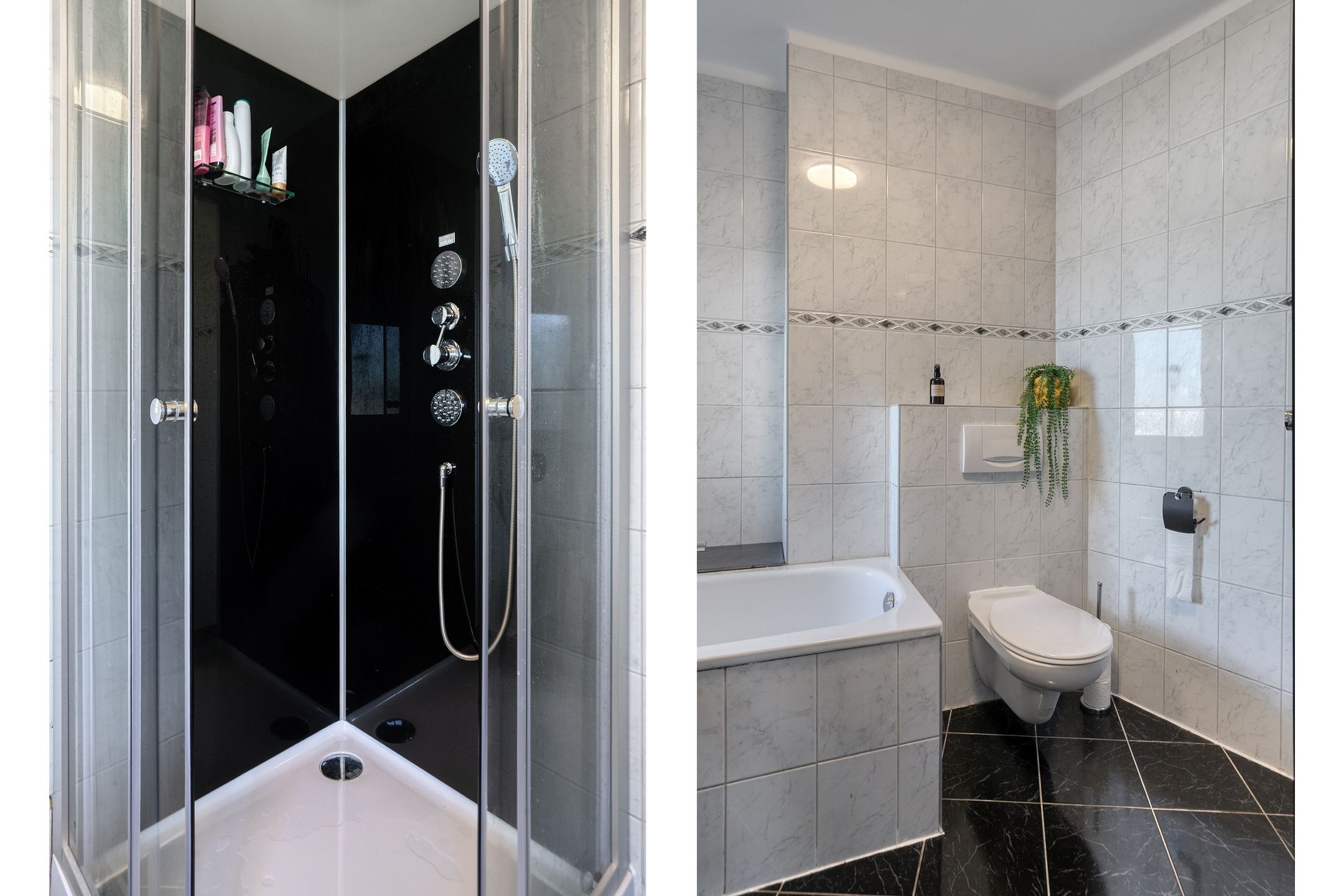 Foto 27 van Professor Regoutstraat 9