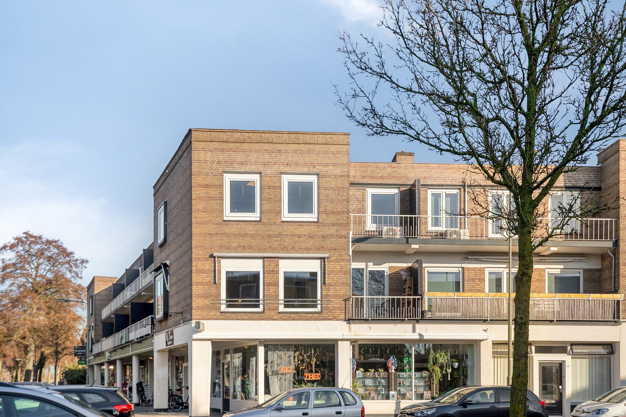 Foto 39 van Professor Regoutstraat 9