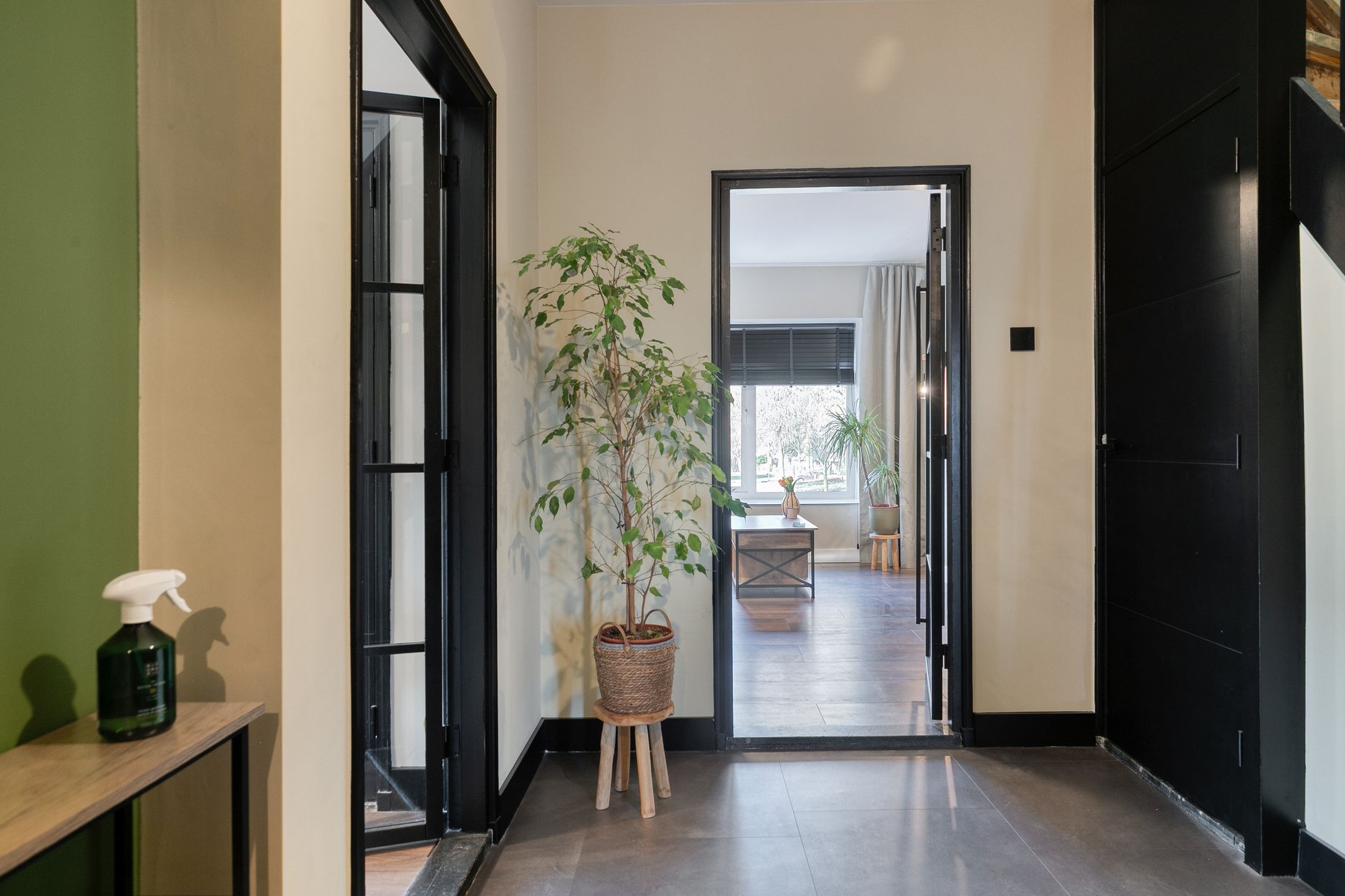 Foto 12 van Professor Regoutstraat 9