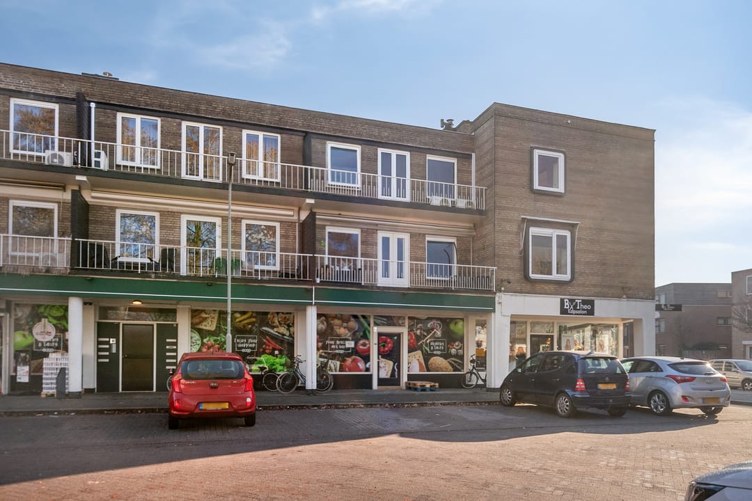 Foto 37 van Professor Regoutstraat 9