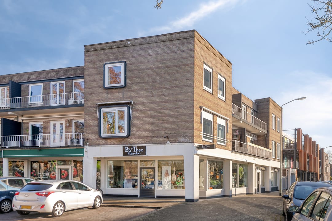 Foto 38 van Professor Regoutstraat 9