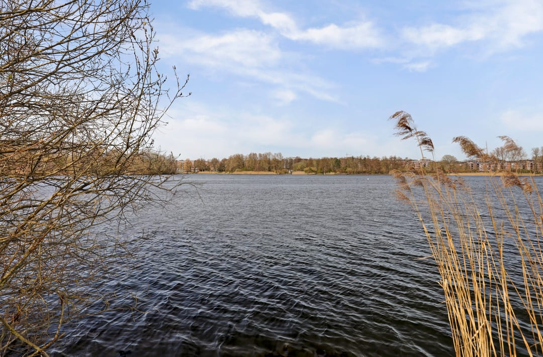 Foto 38 van Veldhuizenstraat 34