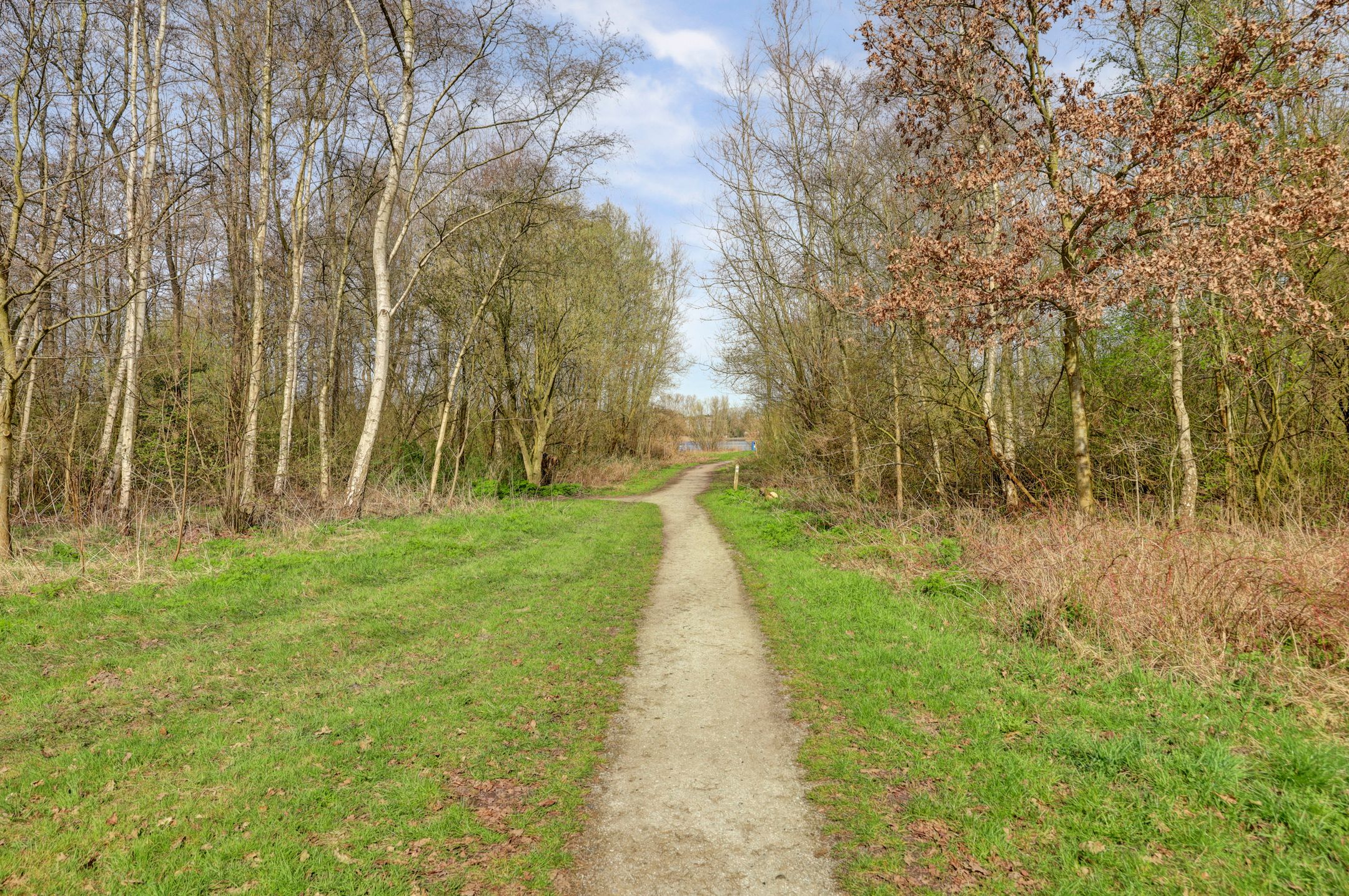 Foto 39 van Veldhuizenstraat 34