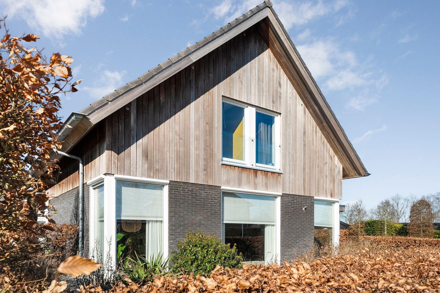 Sustainable Detached Villa with Panoramic Views Near Holtingerveld Nature Reserve — 13