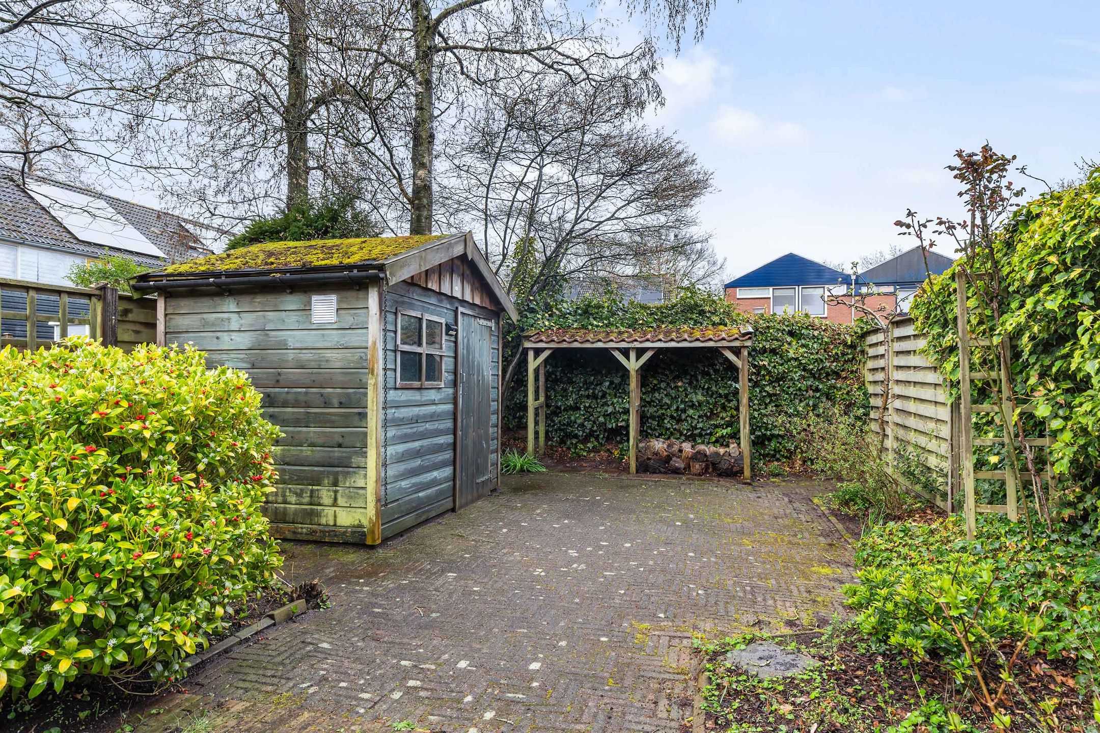 Foto 9 van Houtsnijdershorst 301