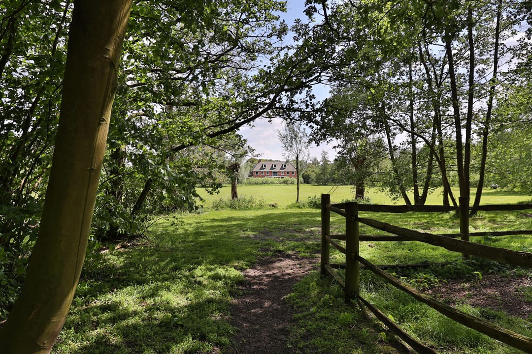 Foto 46 van Van Brienenlaan 26