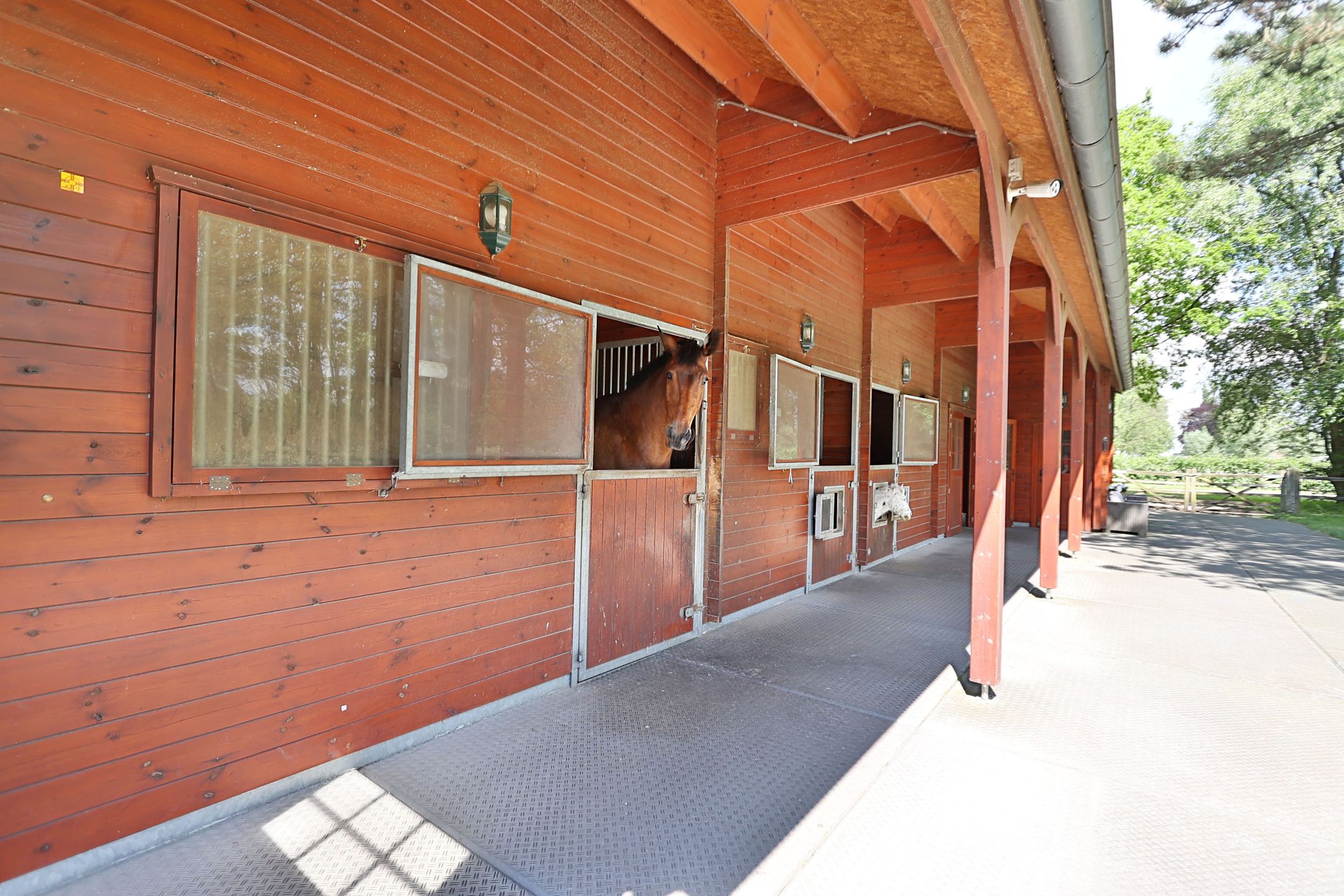 Foto 45 van Van Brienenlaan 26