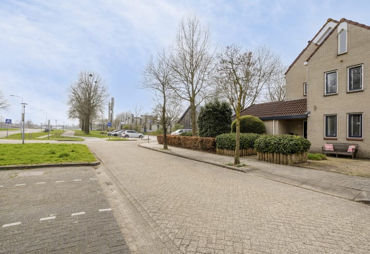 Foto 4 van Bosbes 26