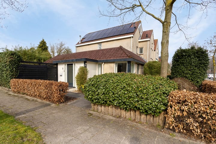 Foto 2 van Bosbes 26