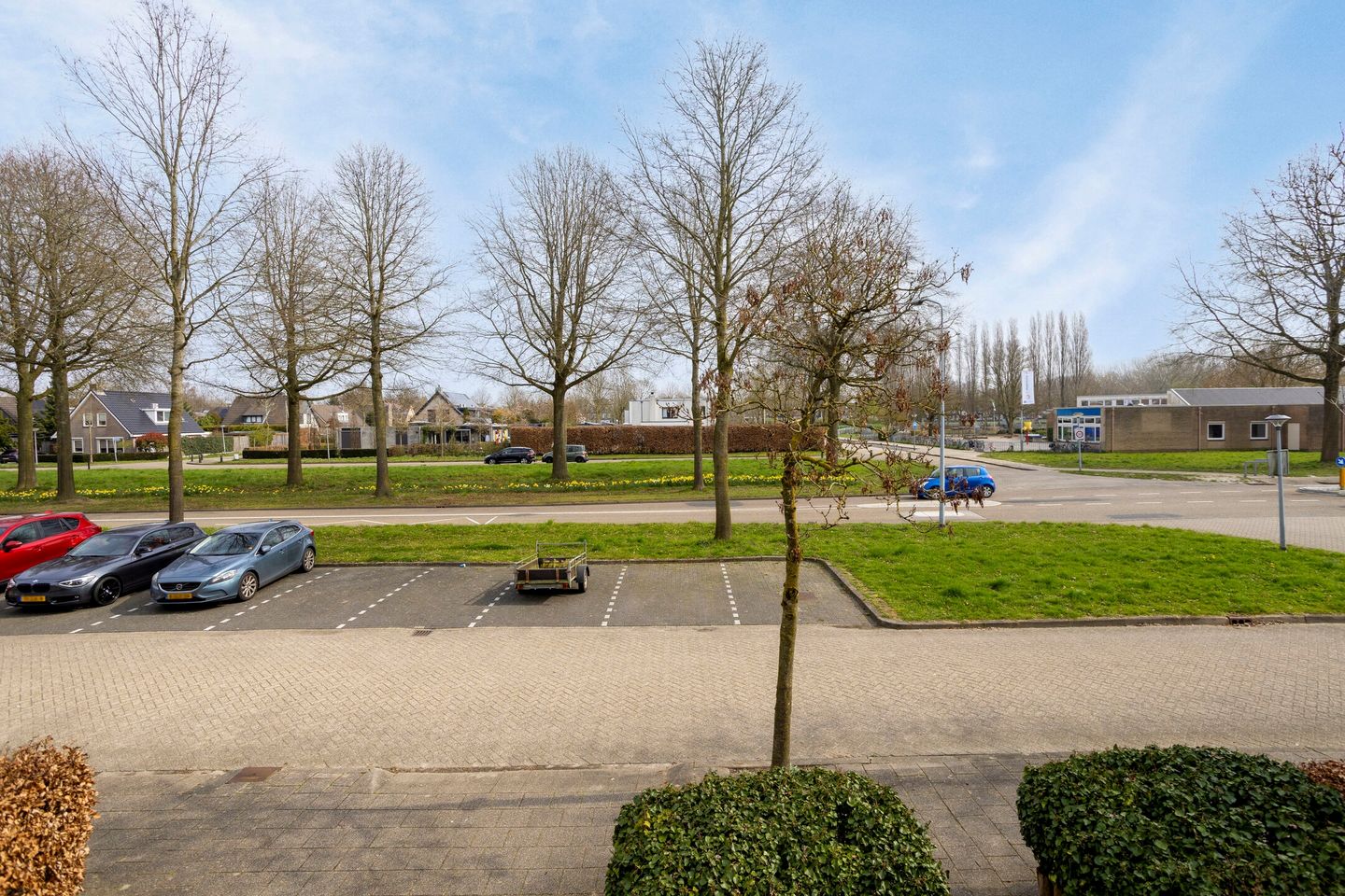 Foto 40 van Bosbes 26