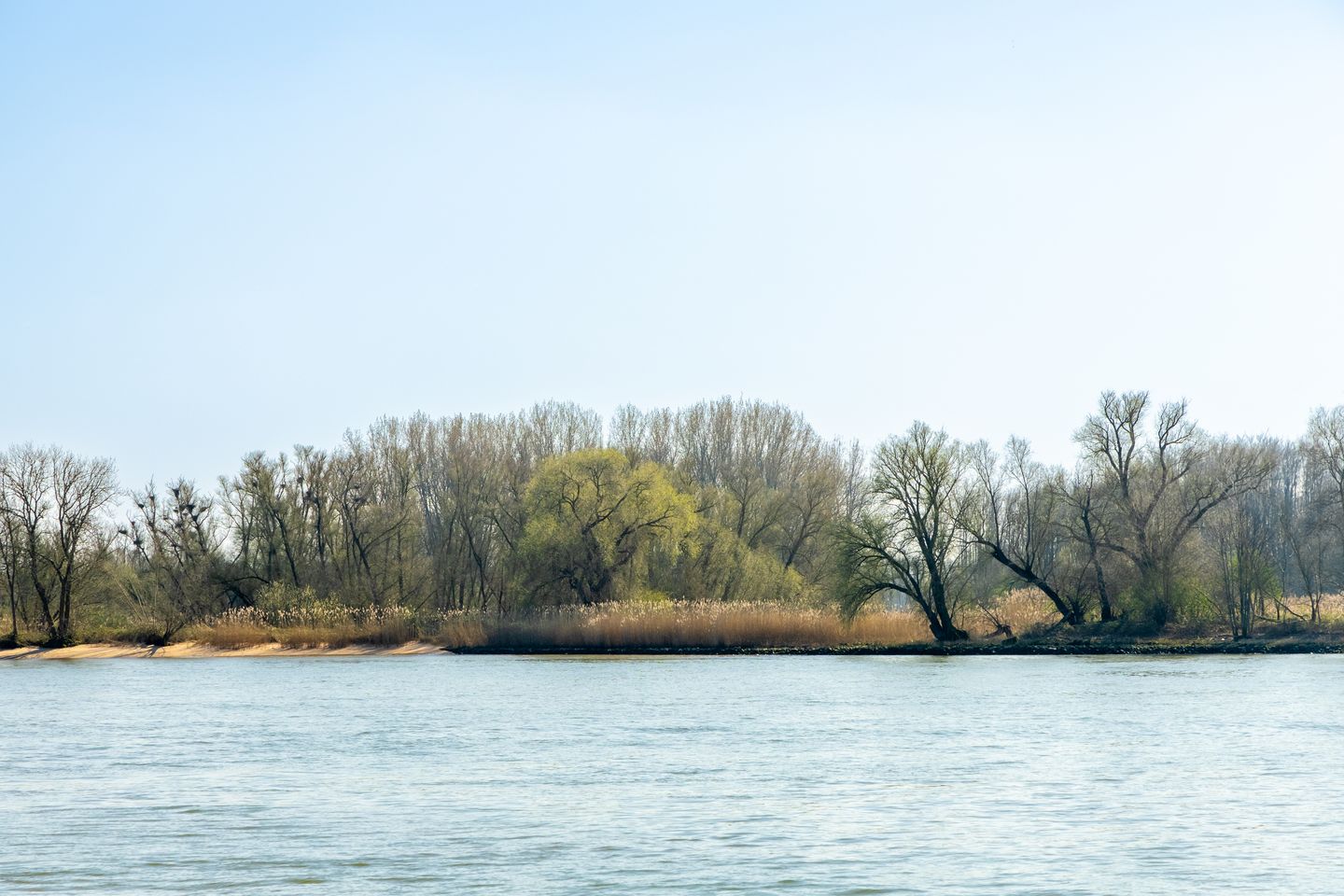 Foto 5 van Rivierdijk 522