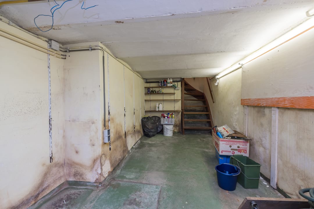 Foto 46 van Tempeliersstraat 7