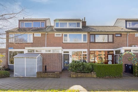 Elimstraat thumbnail