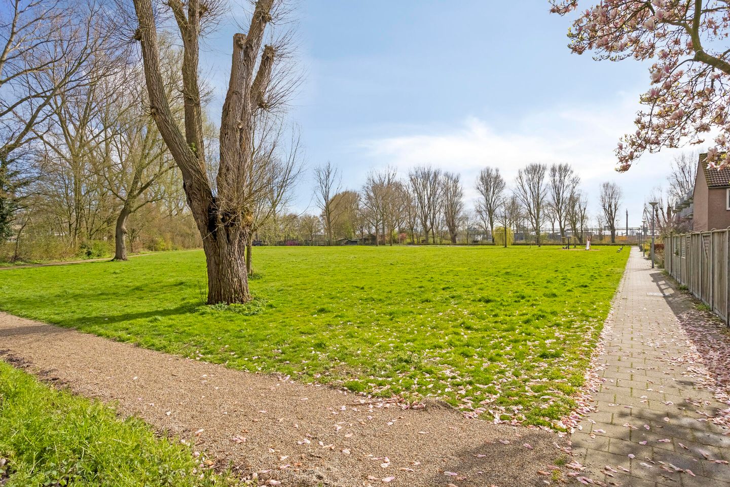 Foto 35 van Elimstraat 2