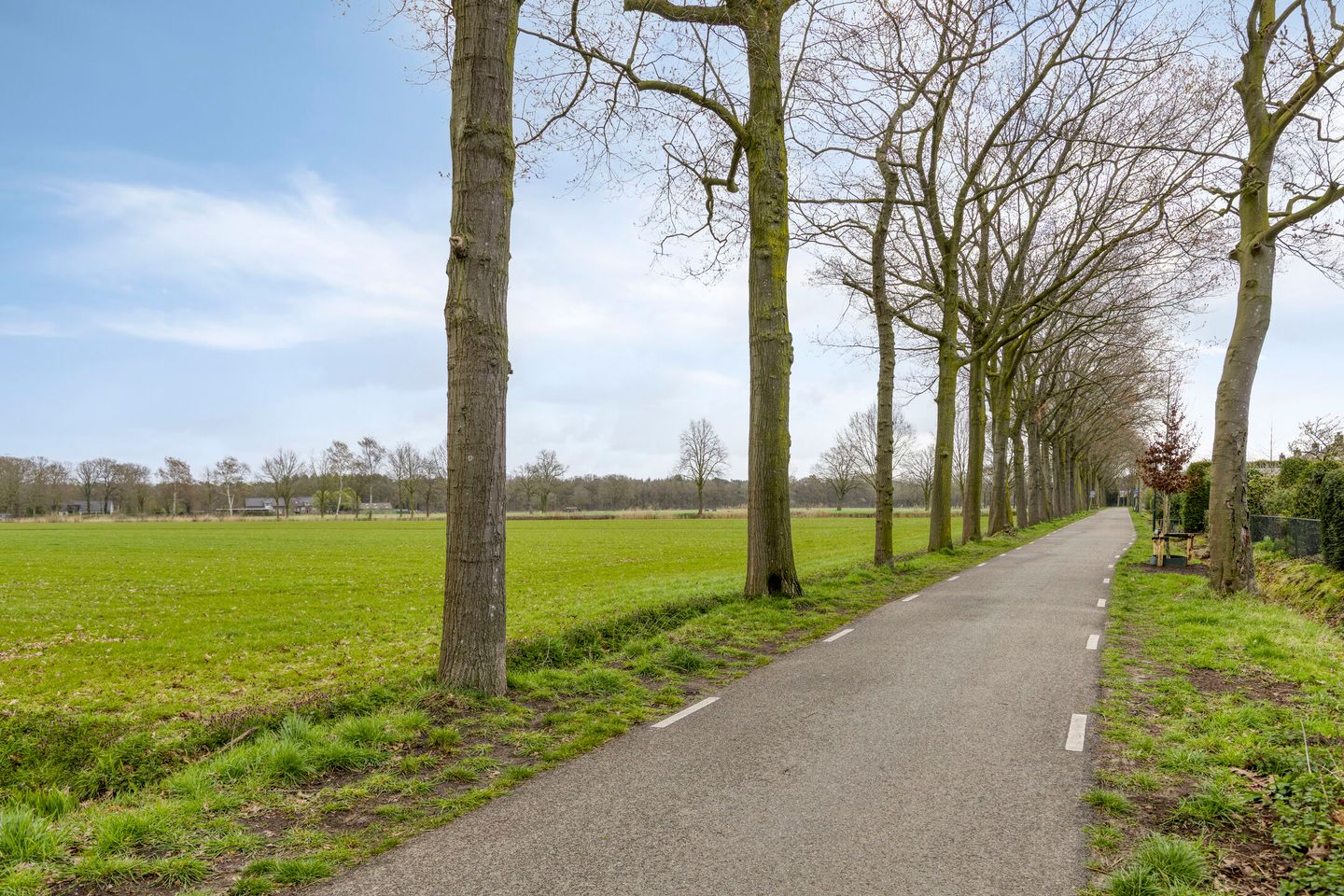 Foto 50 van Schepen de Greefflaan 12