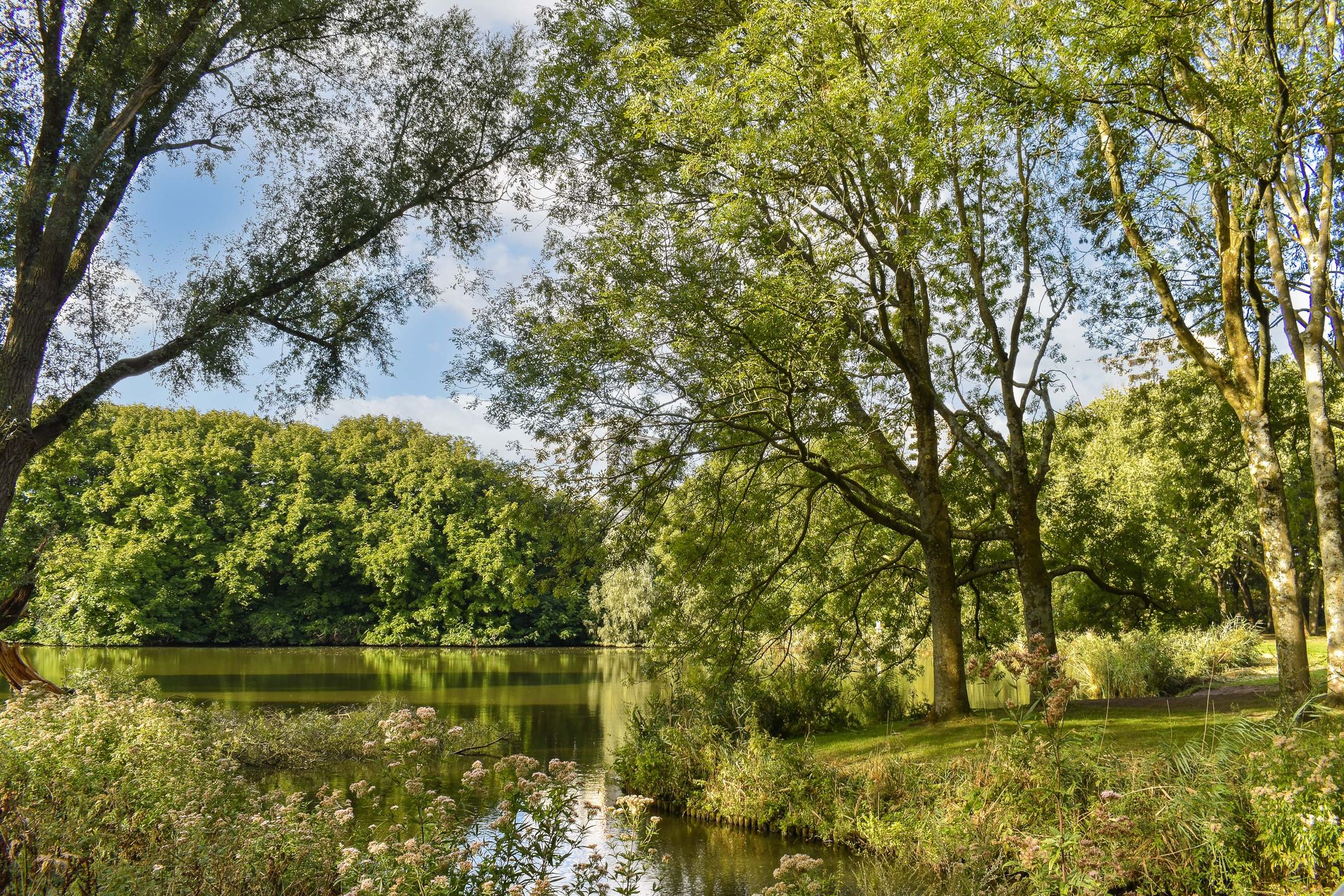 Photo 42 of Jan Tooropstraat 18