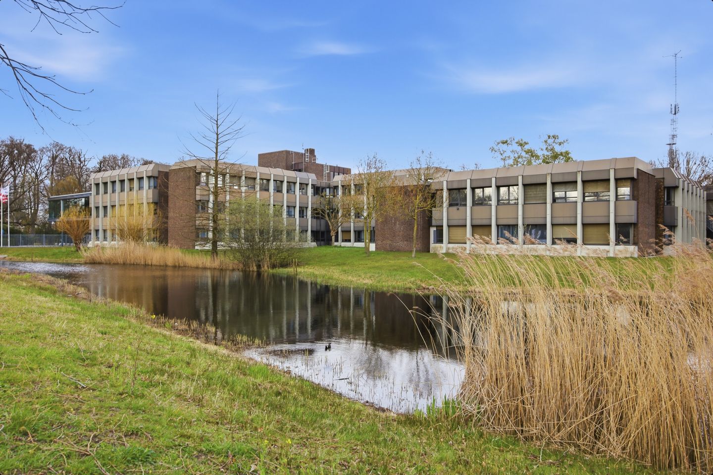 Foto 29 van Harmoniestraat 6-A