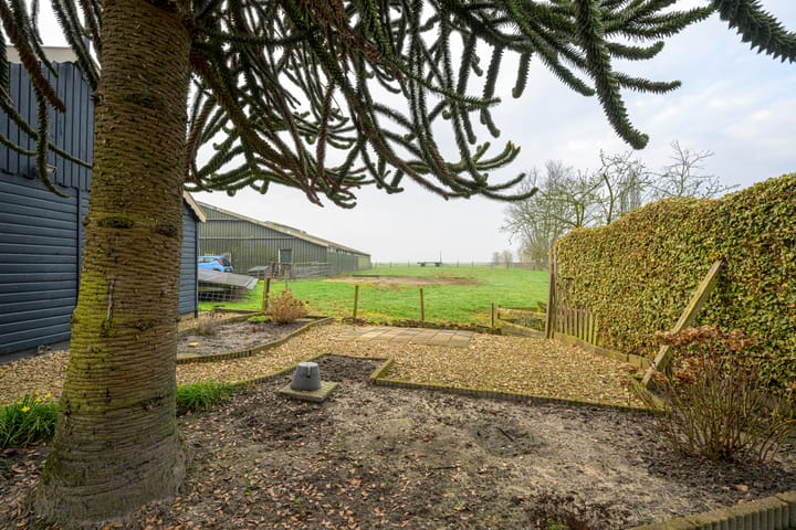 Foto 5 van Dorpsweg 117