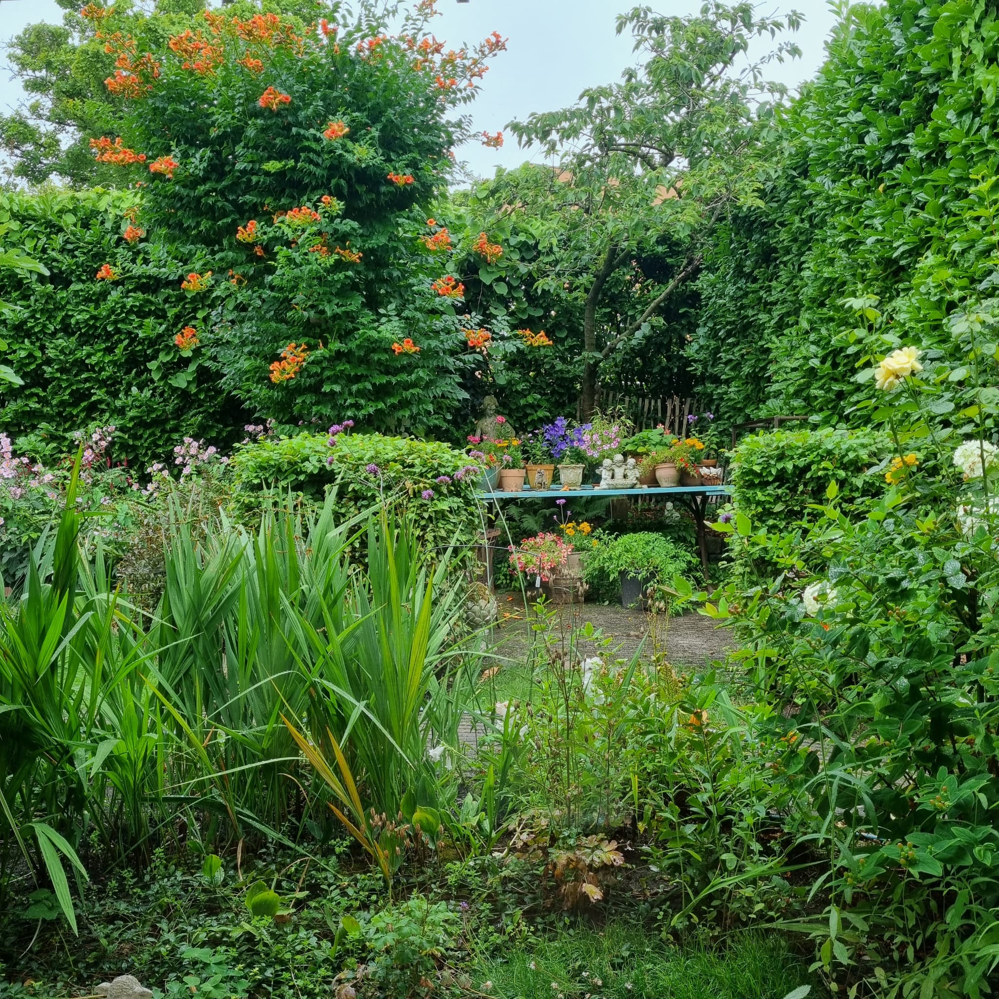 Photo 42 of Sweelinckplaats 3