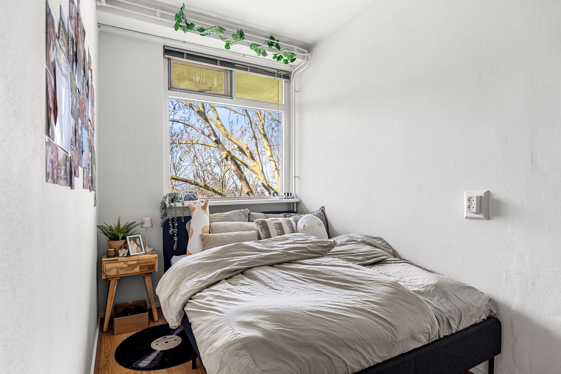 Photo 21 of Thorbeckestraat 514