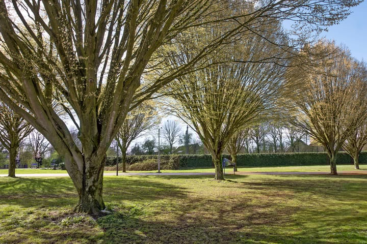 Photo 2 of Orionstraat 4